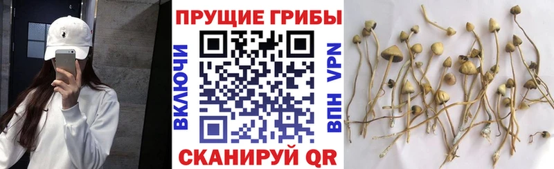 Галлюциногенные грибы мухоморы  Бавлы 