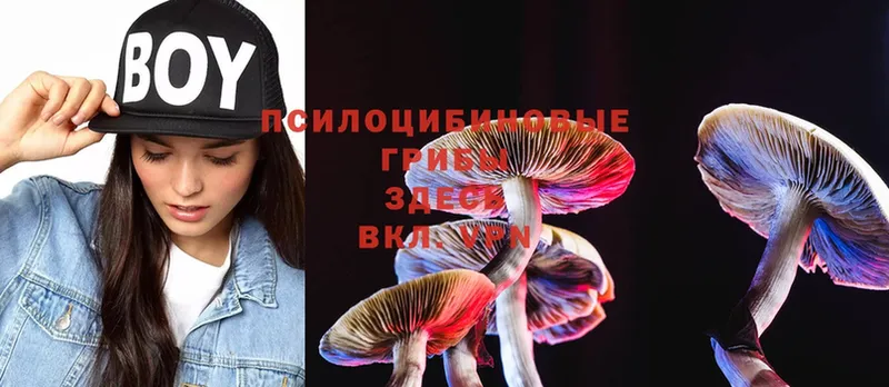 Псилоцибиновые грибы Magic Shrooms  ОМГ ОМГ как войти  Бавлы 